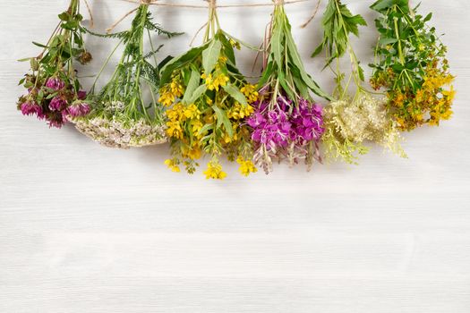 Bundles of medicinal herbs dried near a white wooden wall, alternative medicine and herbal treatment concept, copy space, place for text, background.