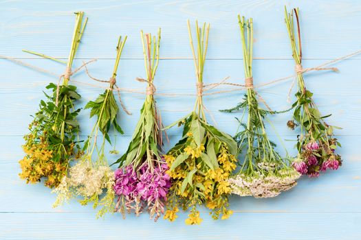 Bundles of medicinal herbs dried near a blue wooden wall, alternative medicine and herbal treatment concept, background.