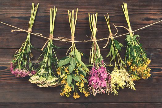 Bundles of medicinal herbs dried near a dark wooden wall, alternative medicine and herbal treatment concept, background.