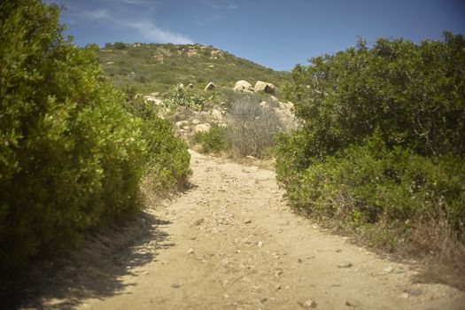 Narrow mountain dirt road surrounded by typical Mediterranean vegetation with mountains and rocks in the background