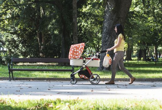 Mother walking in the park with baby buggy. Sunny day