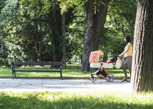 Mother walking in the park with baby buggy. Sunny day