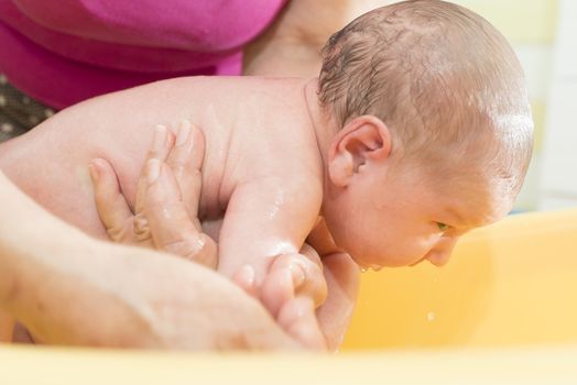 Bathing newborn baby girl. Vibrant colors