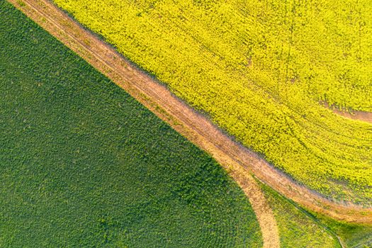 Farming fields of green and gold background abstract