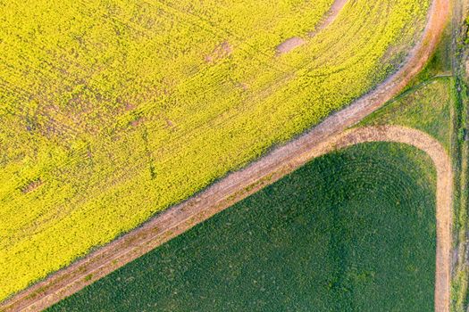 Beautiful farming fields of green and gold af Central West NSW