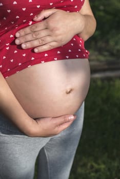 Pregnant woman shows his belly. In the nature. Green meadow