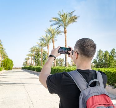 young man with a gray-red backpack behind his shoulders takes pictures on the mobile phone alley of date palms Egypt Sharm El Sheikh South Shinai against the blue sky.