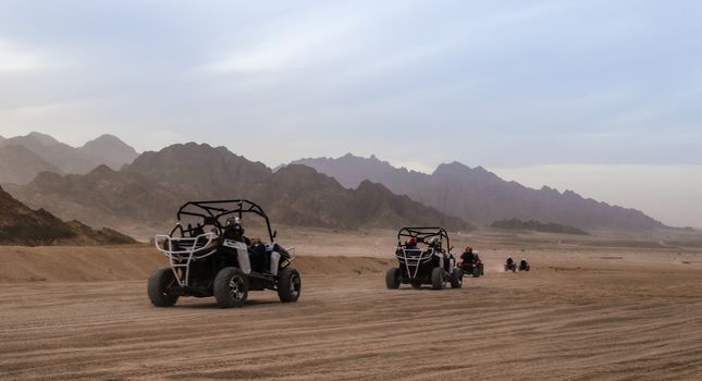 the trip of tourists to the desert by buggy in Egypt
