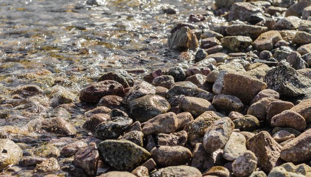 stony coast of the red sea in egypt close up