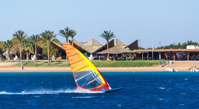 surfer rides in the sea on the background of the beach with palm trees in Egypt