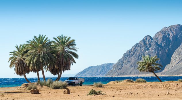 car under the palm trees on the Red Sea on the background of the rocky mountains in Egypt