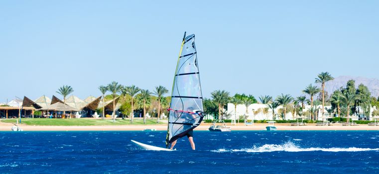 windsurfer rides on the background of the beach with a hotel and palm trees in Egypt Dahab