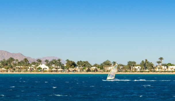 windsurfer rides on the background of the beach with palm trees and rocky mountains in Egypt Dahab