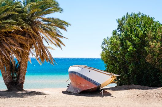 old yacht on the sand on the shore among the palm trees and trees against the backdrop of the Red Sea