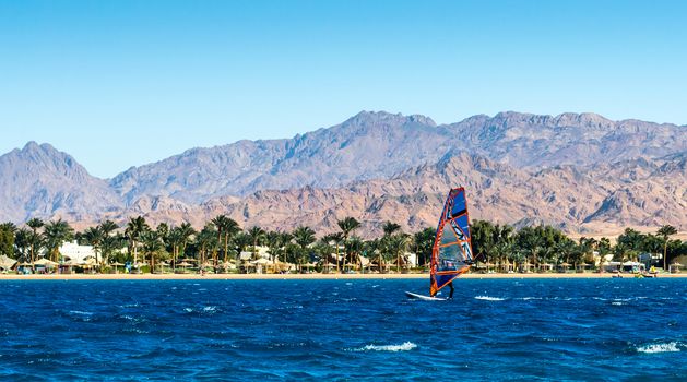 windsurfer rides in the sea on the background of the beach with palm trees and high rocky mountains in Egypt Dahab