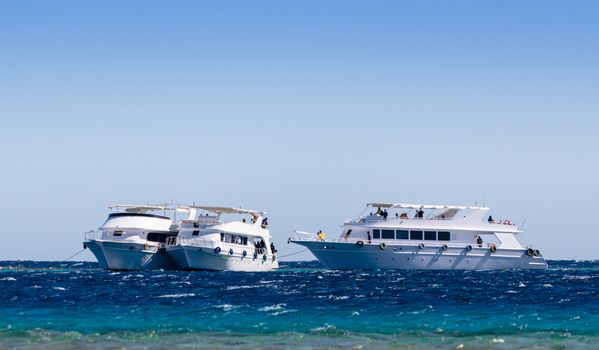 three white pleasure boat in the Red Sea