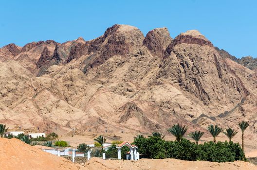 houses with trees and palm trees on the background of high mountains