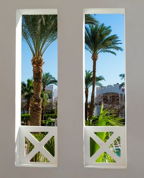window view of a tropical garden with tall palm trees