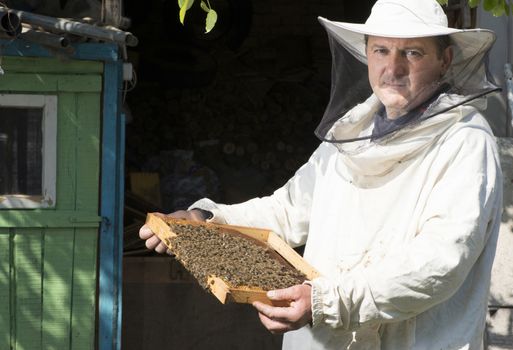 Beekeeper with honeycombs in hands. Bulgaria, Pleven