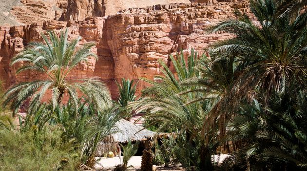 dwelling bedouin in an oasis in the desert among the mountains in Egypt Dahab