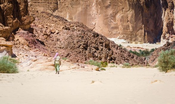 Bedouin goes to a village in the desert amid high rocky mountains in Egypt Dahab
