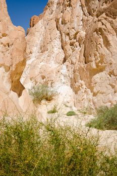 high rocky mountains and green bush in the canyon in Egypt Dahab