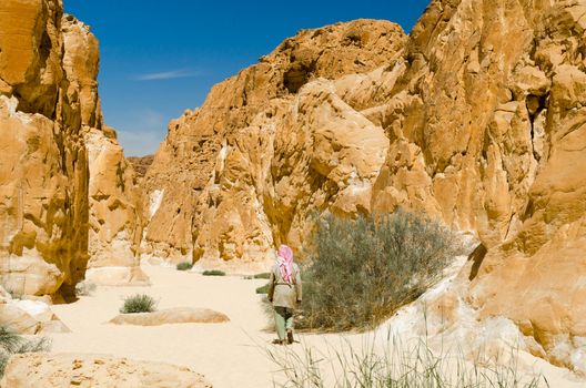 Bedouin walks among the rocks in a desert canyon in Egypt Dahab