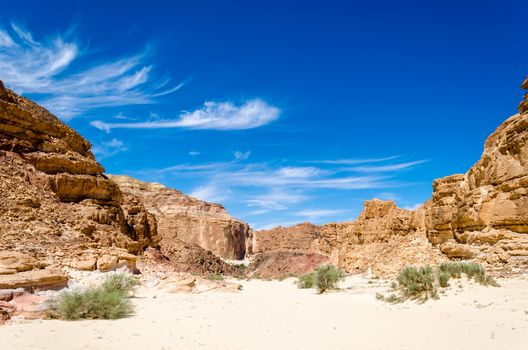 green bushes on the sand in a canyon in the desert against the backdrop of mountains and a blue sky with clouds
