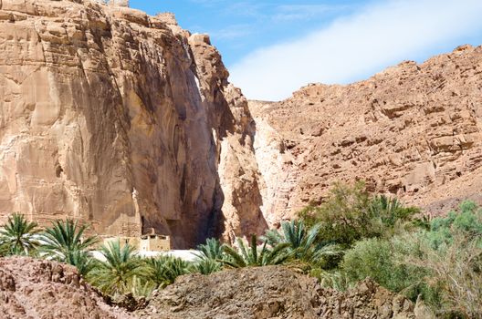 dwelling bedouin in an oasis in the desert among the mountains in Egypt Dahab