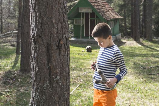 Child play with sling toy in the forest.