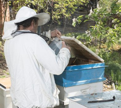 Beekeeper with honeycombs in hands. Bulgaria, Pleven