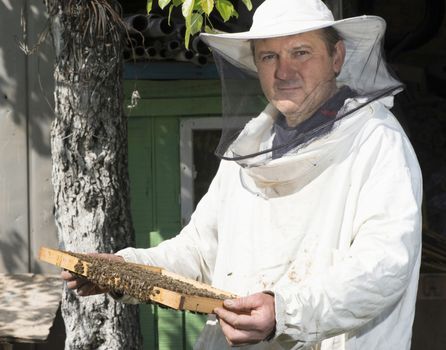 Beekeeper with honeycombs in hands. Bulgaria, Pleven