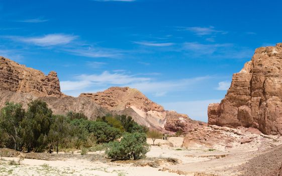 desert oasis in the middle of high rocky mountains in Egypt Dahab