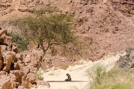 Bedouin prays sitting on the sand in the shade of a tree in the desert against the backdrop of mountains