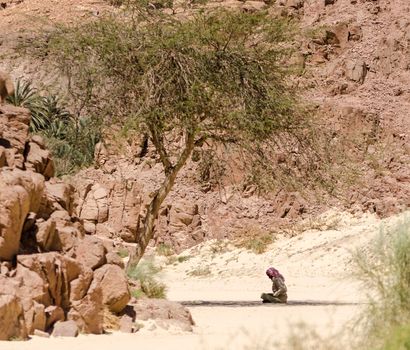 Bedouin prays sitting on the sand in the shade of a tree in the desert against the backdrop of mountains