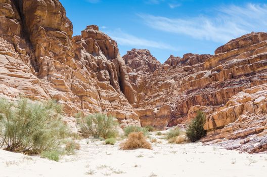 high rocky mountains and green plants in the desert against the blue sky and white clouds in Egypt Dahab