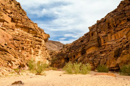 colored canyon in the desert in Egypt