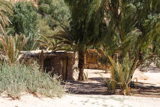 dwelling bedouin in an oasis in the desert among the mountains in Egypt Dahab South Sinai