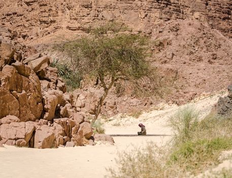 Bedouin prays sitting on the sand in the shade of a tree in the desert against the backdrop of mountains
