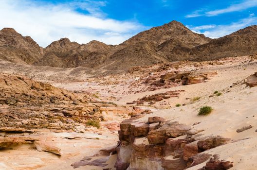 desert canyon on a background of mountains and blue sky with white clouds