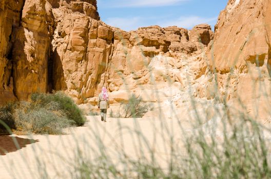 Bedouin walks among the rocks in a desert canyon in Egypt Dahab
