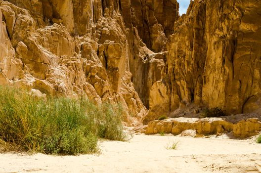 desert canyon with high stone cliffs and green plants in Egypt Dahab
