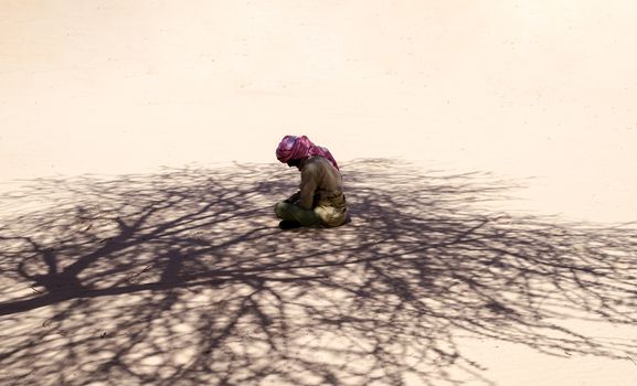 bedouin sits and prays in the sand in the shade of a tree in the desert