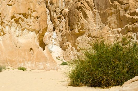 high rocky mountains and green bush in the canyon in Egypt Dahab