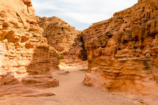 colored canyon in the desert in Egypt