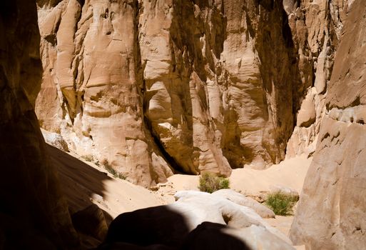 rocky mountains and plants in a canyon in Egypt
