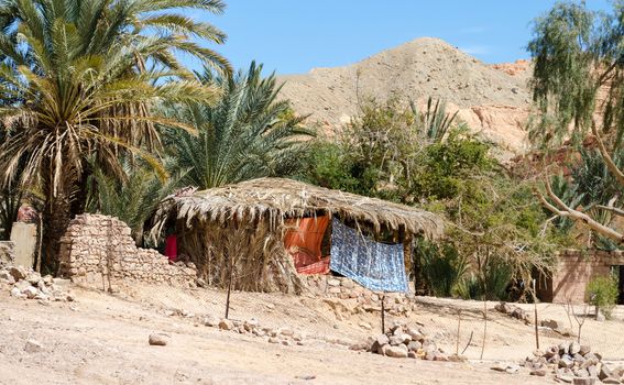 Bedouin village in an oasis in the desert among the mountains in Egypt Dahab