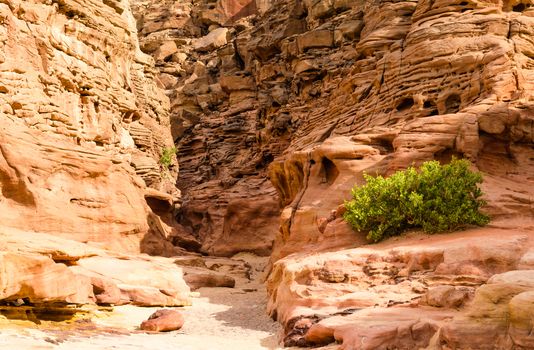 colored canyon in the desert in Egypt