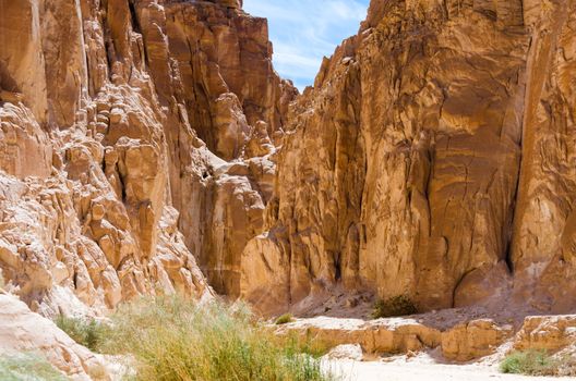 desert canyon with high stone cliffs and green plants in Egypt Dahab
