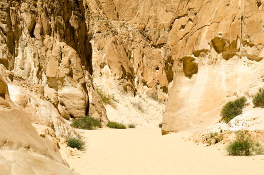 high rocky mountains and green bush in the canyon in Egypt Dahab